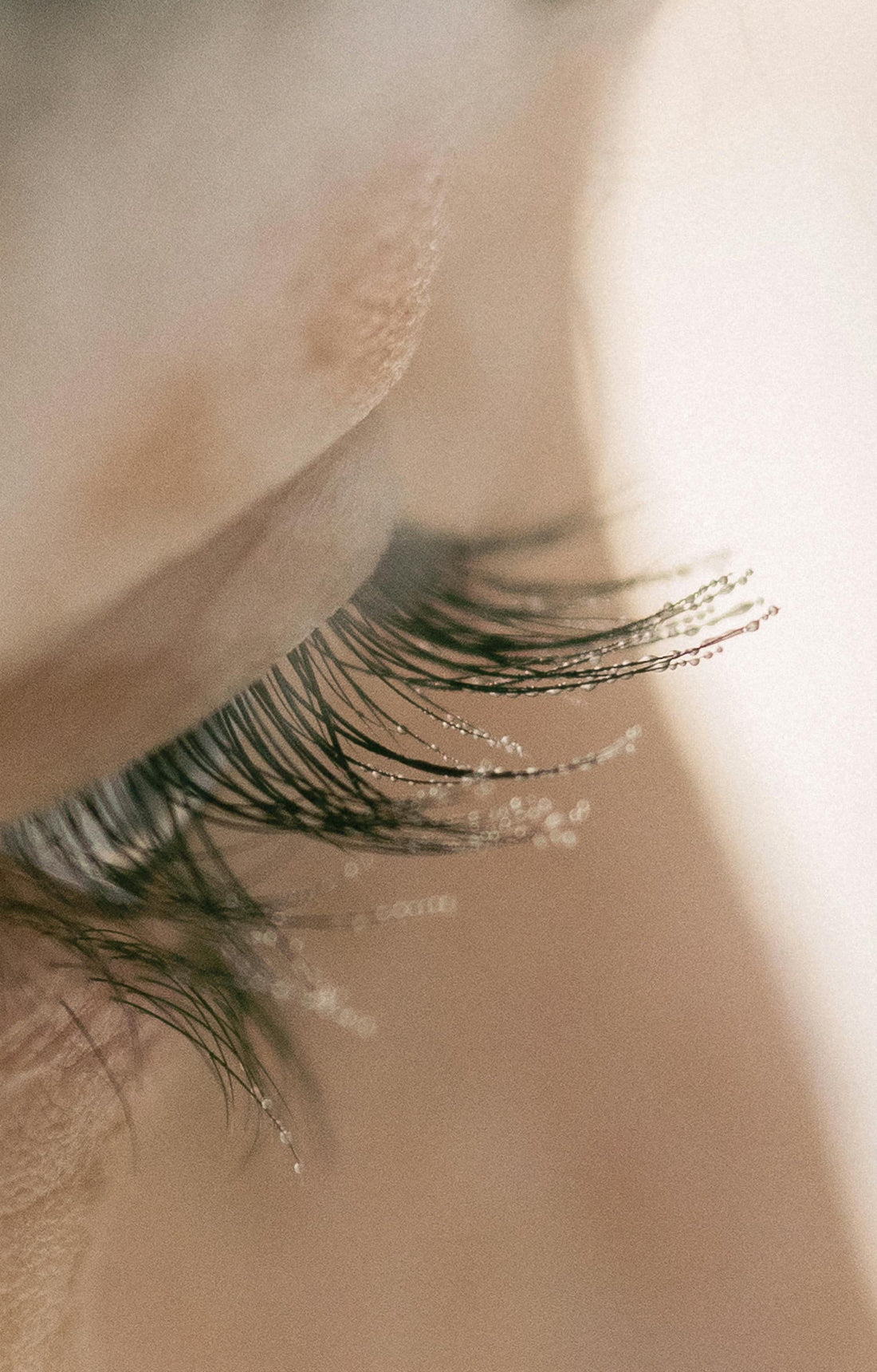 Close-up of eyelashes highlighting the effect of Reveal Brighter Eyes with Atelier Silente's Peptide Eye Gel Cream.